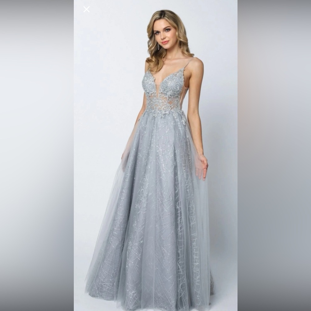 Juliet Sheer Embroidered Sequin Bodice Dress/ Ball Gown Medium silver- blue